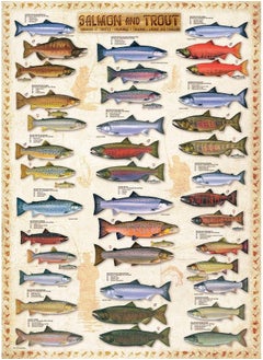 eurographics Salmon And Trout 1000 Piece Puzzle  - Image 3