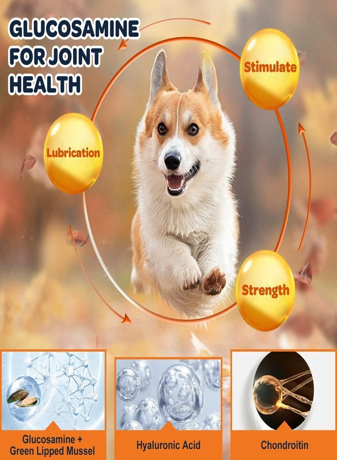 NATURE TARGET Glucosamine for Dogs, Hip and Joint Supplement, 120 Bites - Image 2