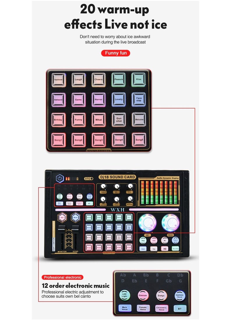 Sound Card Set Microphone Podcast Set Suitable for Streaming/Podcasting/Game/Recording/YouTube/PC