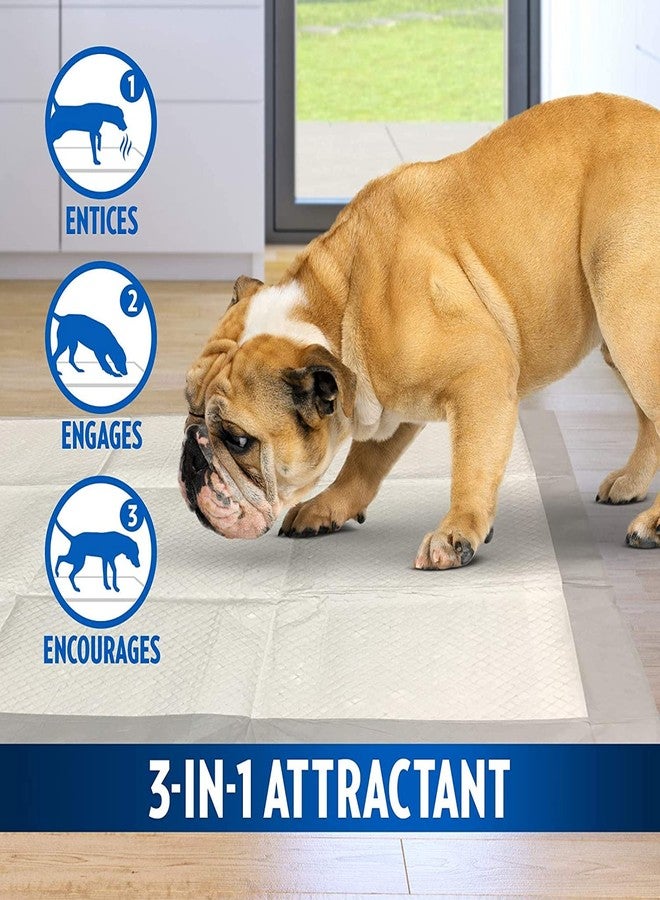 OUT Moisture Lock Training Pads-7 Pad Pack, Effective Training Solution, Leak-Proof Design, Each Pad is Disposable, Making Cleanup Quick and Hassle-Free - Image 3