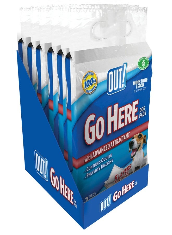 OUT Moisture Lock Training Pads-7 Pad Pack, Effective Training Solution, Leak-Proof Design, Each Pad is Disposable, Making Cleanup Quick and Hassle-Free - Image 1