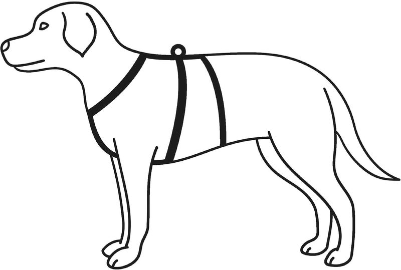Trixie Stay Training Harness for Dogs - Medium - Image 2