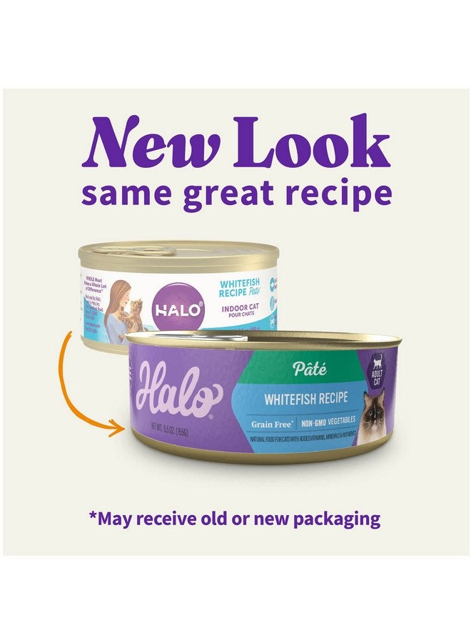 Halo Adult Grain Free Wet Cat Food Pate, Whitefish Recipe, Healthy Cat Food with Real, Whole Whitefish, 5.5 oz Can (Pack of 12) - Image 2