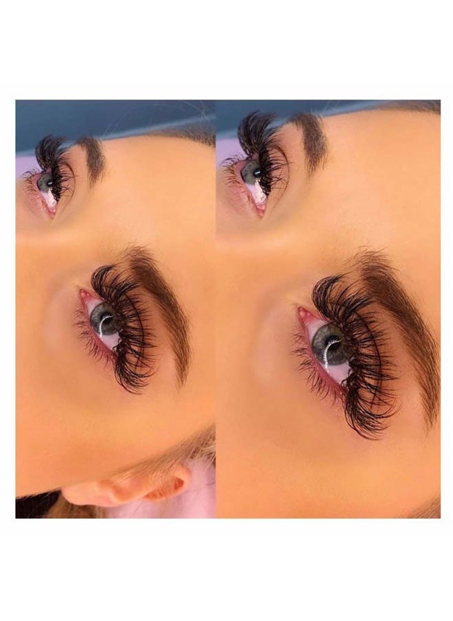 FADLASH - Easy Fan Volume Lashes DD Curl 15mm 4D-20D Rapid Blooming Volume Lash Extensions Knot-free Black PBT Synthetic Soft Comfortable Eyelash Extensions - Image 1