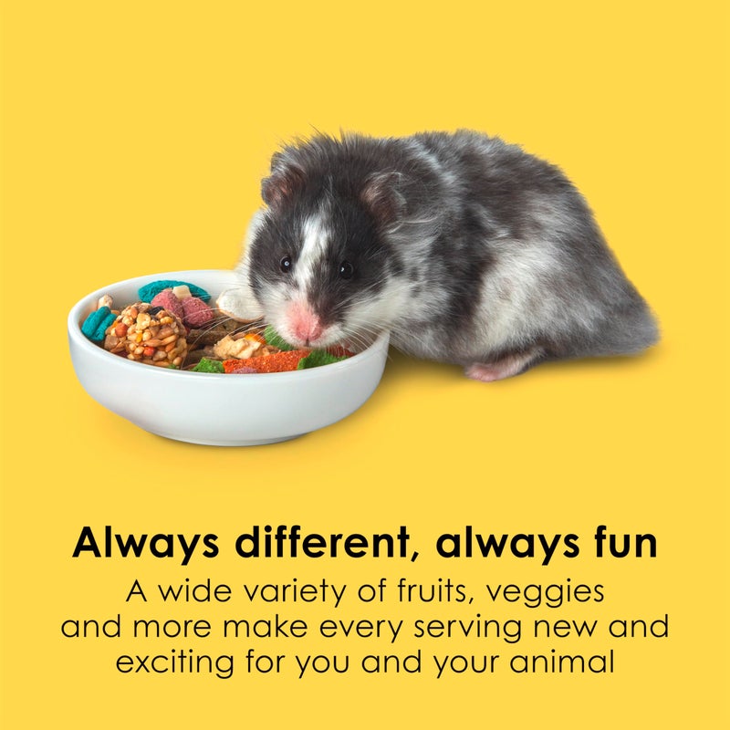 Kaytee Fiesta Hamster & Gerbil Food, Nutritious and Fun Blend, Supports Dental Health and Digestion, 2.5 pounds - Image 3