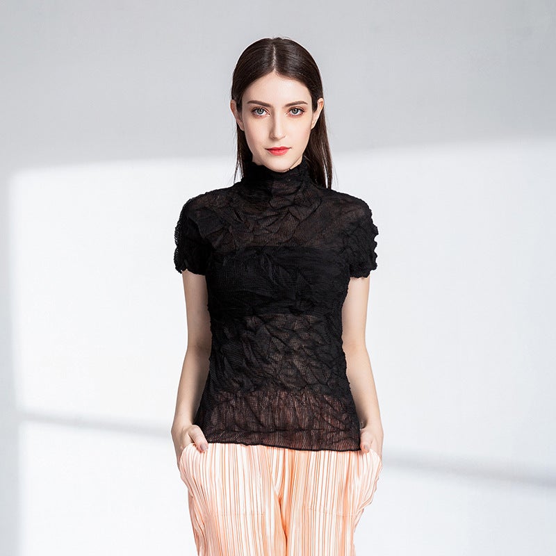 Pleated T-shirt small shirt design sense women's summer new Miyake black sexy perspective all-match top women's short sleeve - Image 5