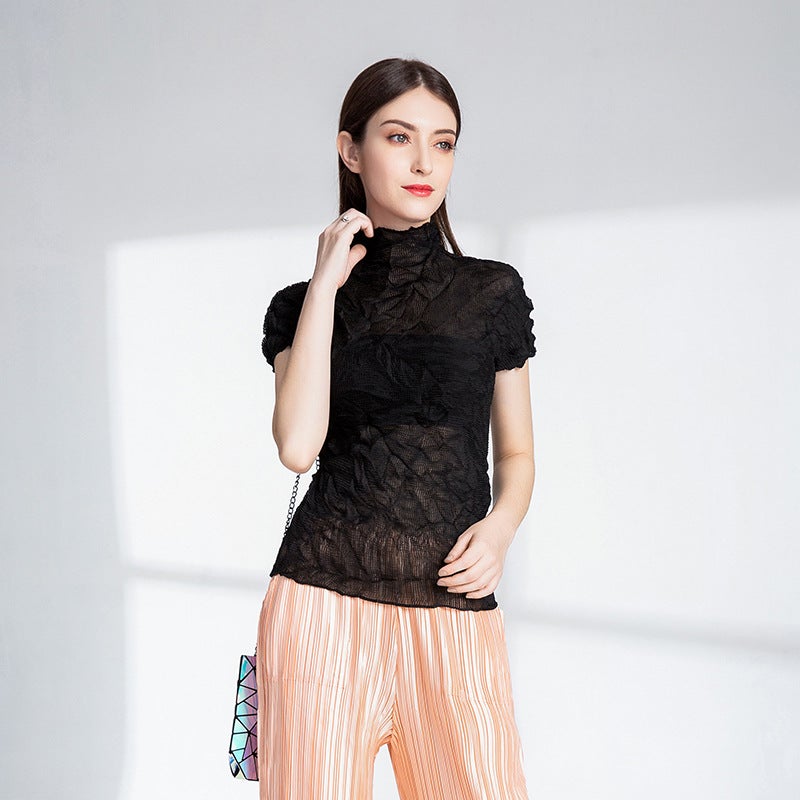 Pleated T-shirt small shirt design sense women's summer new Miyake black sexy perspective all-match top women's short sleeve - Image 2