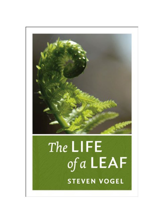 The Life Of A Leaf