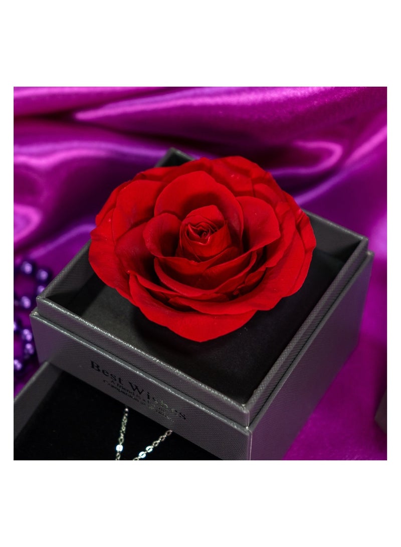   صوفيا طبيعة زهور محفوظة في صندوق هدايا - Image 3