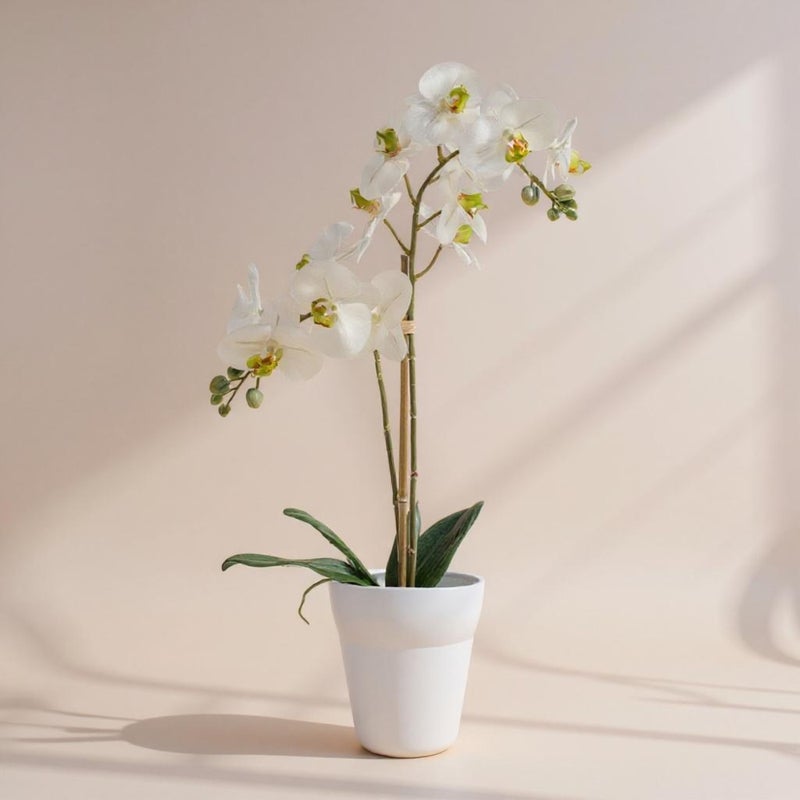 Homez indoor artificial phalaenopsis bush in white pot, white, 65cm - Image 1