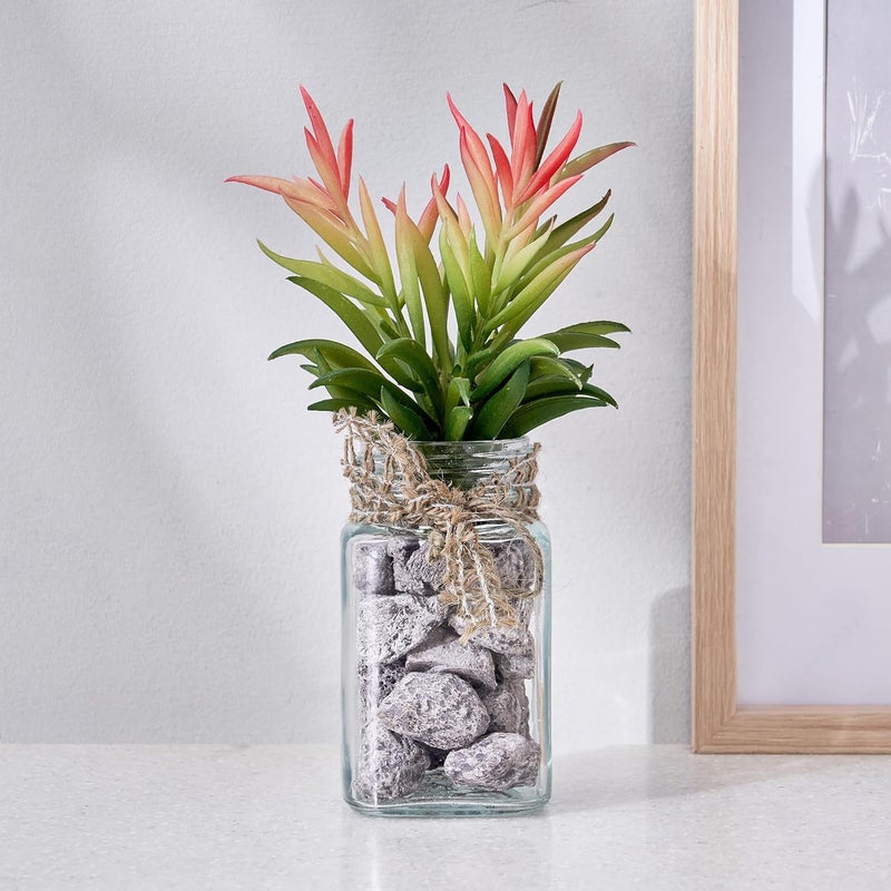 Home Centre Home Centre Corsica AW24ARTIFICIAL Succulent in Glass JAR 58X18CM GRN  - Image 1