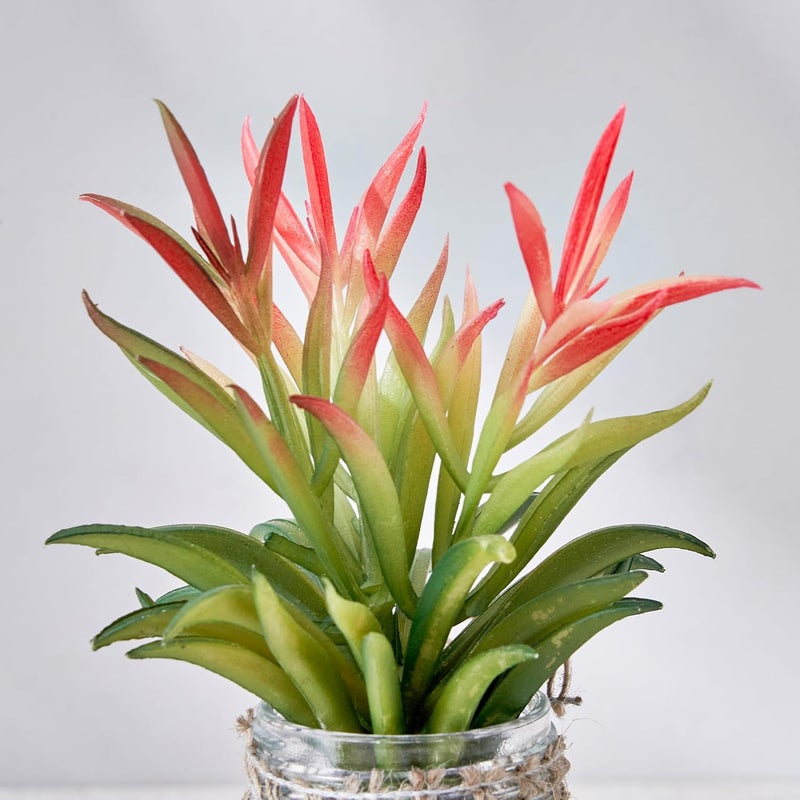 Home Centre Home Centre Corsica AW24ARTIFICIAL Succulent in Glass JAR 58X18CM GRN  - Image 5