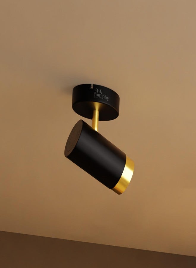 Murphy 10W Adjustable Black Brass Aluminum LED Wall COB Surface Mounted Spot Light with 2 Years Warranty (Warm White, Pack of 1) - Image 1