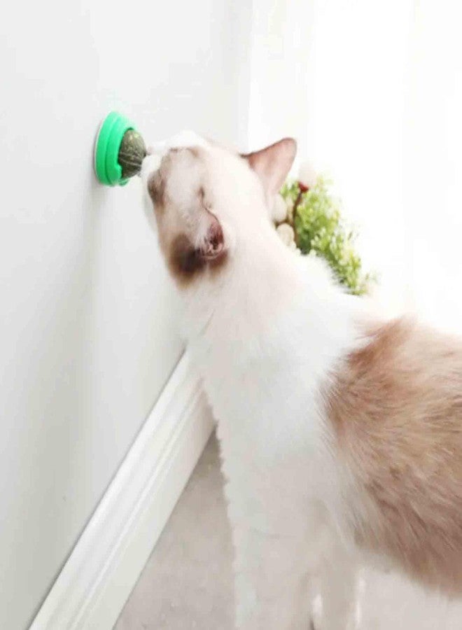 AOODOOM 6 PCS Catnip Balls - Image 4