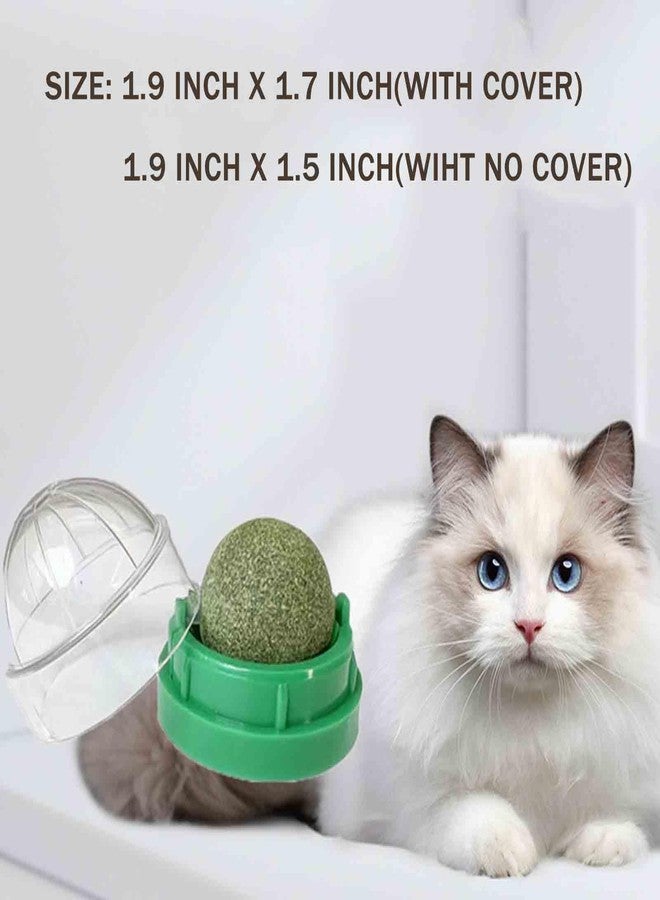 AOODOOM 6 PCS Catnip Balls - Image 2
