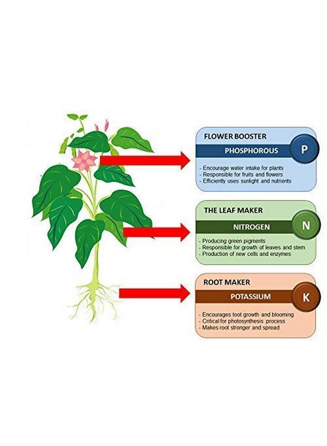 creative farmer مسحوق كعكة زيت الخردل المدعوم من كرييتف فارمر 1 كجم يعزز نمو الجذور للنباتات/الأشجار/الأعشاب - Image 4