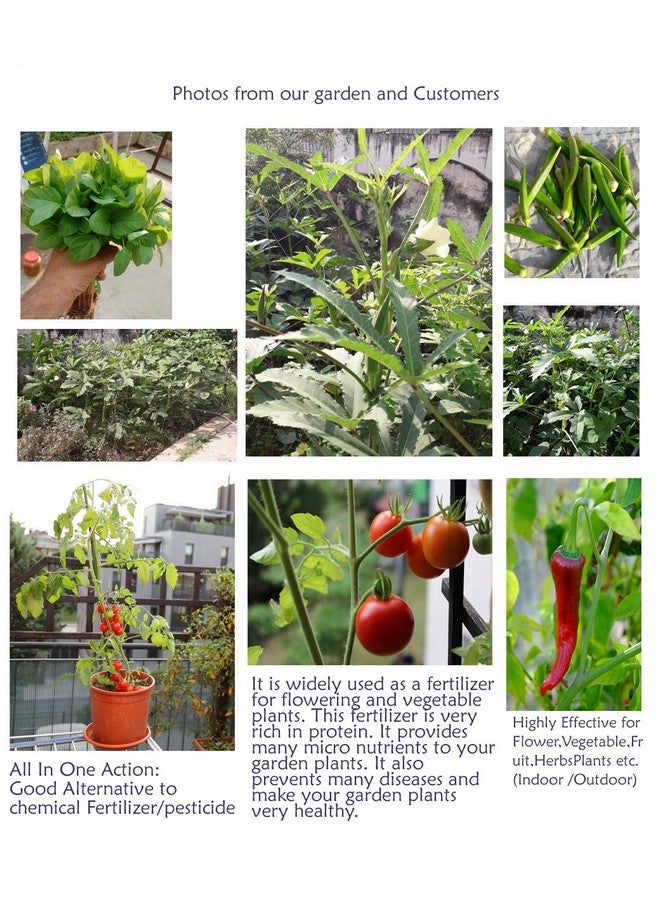 creative farmer مسحوق كعكة زيت الخردل المدعوم من كرييتف فارمر 1 كجم يعزز نمو الجذور للنباتات/الأشجار/الأعشاب - Image 3