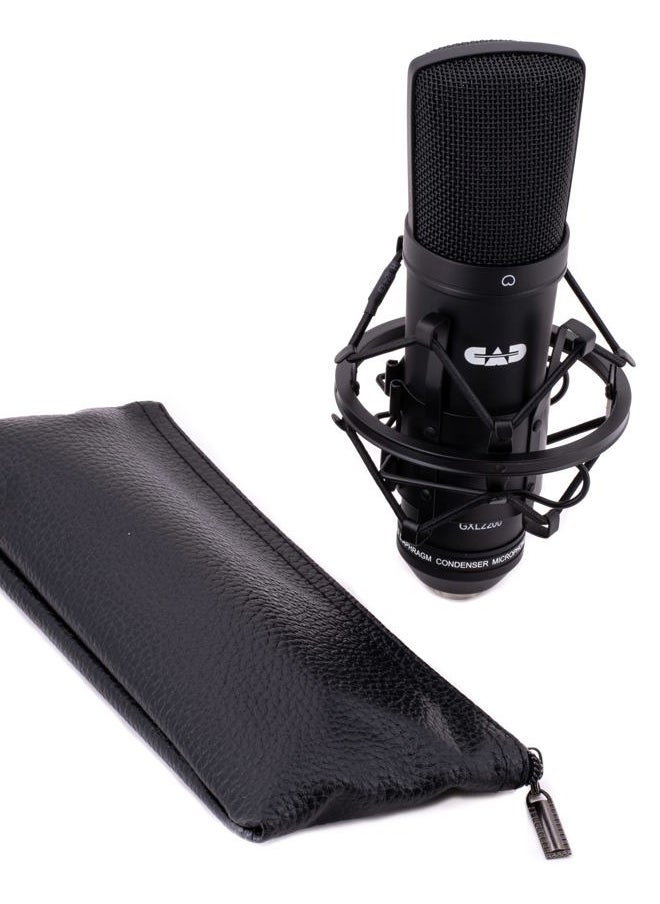 CAD AUDIO CAD GXL2200 Cardioid Condenser Microphone, Black Finish  - Image 3