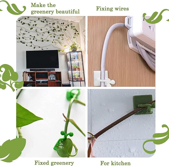 TASMAX money plant holder plant support clips plant clips for climbers money plant clips for wall support climber support for plants climbing clips for plants hooks for wall creeper climb clip PACK100 - Image 4