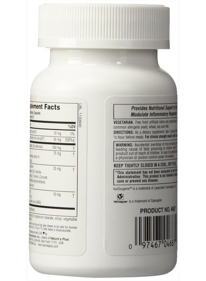 Natures Plus Ultra - Natural Supplement with Turmeric, Bromelain, MSM, Boswellia & Ginger - 60 Vegetarian Capsules (30 Servings) - Image 3