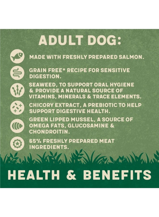 Harringtons Salmon Grain Free Adult Wet Dog Food 400g - Image 2