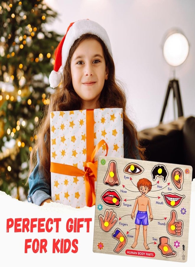 Bugbee Toys Wooden Human Body Parts Puzzle for Kids | Jumbo Size Peg Puzzle Board | Montessori Educational Toy for Toddlers | Learn Body Names | Colorful & Safe | Age 3+ | (Big) - Image 5