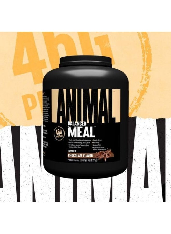 ANIMAL Meal - All Natural High Calorie Meal Shake - Egg Whites, Beef Protein, Pea Protein, Chocolate, 5 Pound  - Image 3