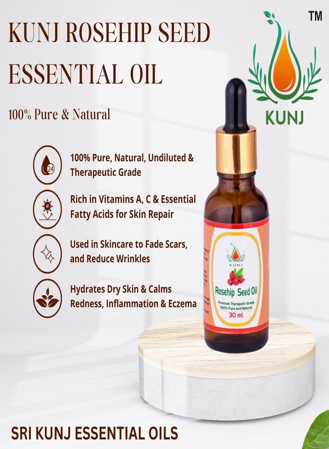 KUNJ Rosehip Seed Oil (Rosa canina) 30ML - 100% Pure & Natural, Cold Pressed, Undiluted - Therapeutic Grade Oil for Anti-Aging, Dark Spots, Glowing Skin, Even Skin Tone & Night Face Massage - Image 2