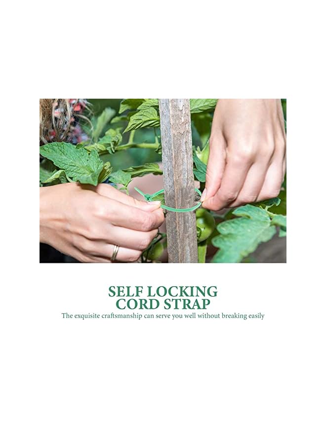 PROMASS رباطات سلكية خضراء رباط سلكي أخضر 500 قطعة نايلون قفل ذاتي رباطات سلكية لف للداخل والخارج للنباتات الخضراء - Image 4