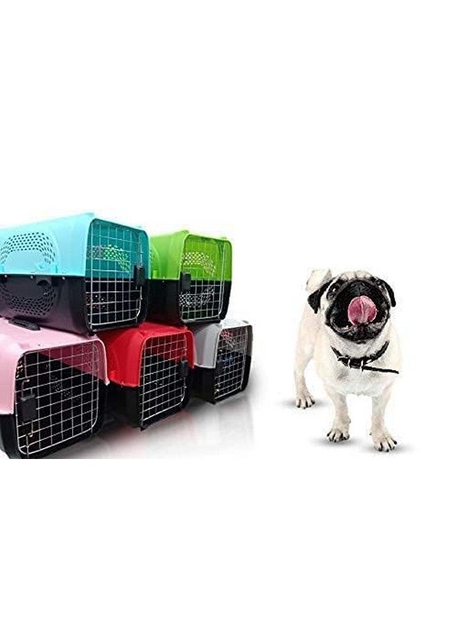 حامل سفر للحيوانات الأليفة للكلاب والقطط والأرانب وسلة بمقبض بلاستيكي وباب مفصلي قابل للطي وصندوق نقل قابل للطي بحجم 19.5 × 13 × 12.5 بوصة للقطط والجراء (اللون حسب التنوع) - Image 3