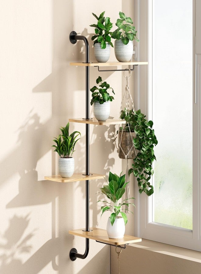 DELLAN Rotating Window Plant Shelves, 4-Tier Plant Shelf for Window, Wall Mounted Indoor Hanging Plants Shelf, Windows Sill Plant Shelf Wall Mounted - Image 1