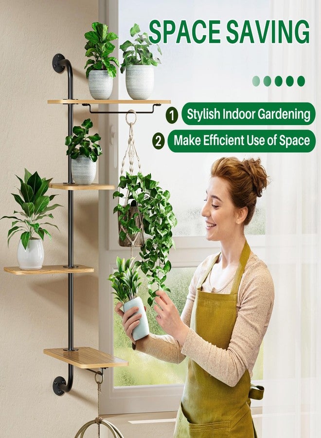 DELLAN Rotating Window Plant Shelves, 4-Tier Plant Shelf for Window, Wall Mounted Indoor Hanging Plants Shelf, Windows Sill Plant Shelf Wall Mounted - Image 2