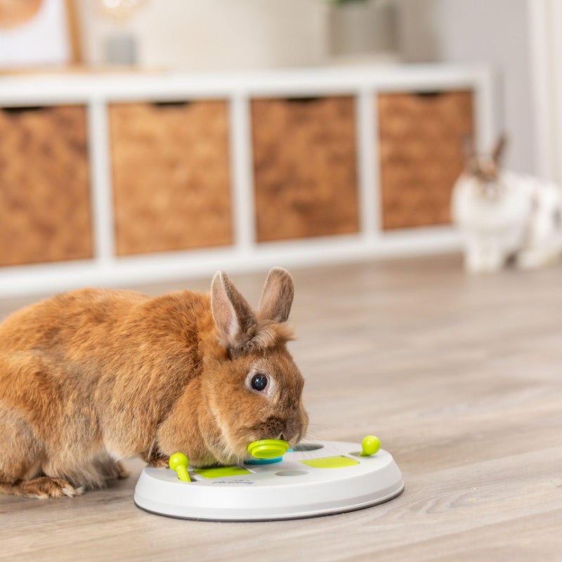 TRIXIE Rabbit Flip Board â€“ Interactive Bunny Toy for Indoor Rabbits with 3 Opening Techniques â€“ Treat Dispenser for Rabbits, Ferrets, Chinchillas & More â€“ Multicolor, 9.5 x 9.5 x 2.75 in - Image 3