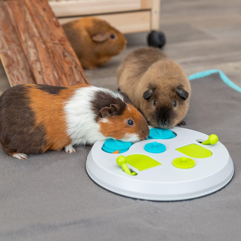 TRIXIE Rabbit Flip Board â€“ Interactive Bunny Toy for Indoor Rabbits with 3 Opening Techniques â€“ Treat Dispenser for Rabbits, Ferrets, Chinchillas & More â€“ Multicolor, 9.5 x 9.5 x 2.75 in - Image 2