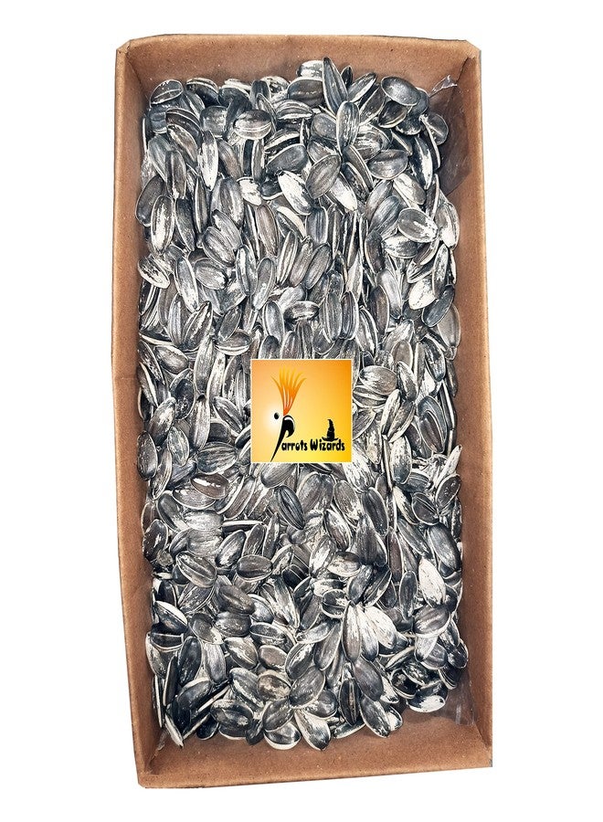 Parrots Wizard بذور دوار الشمس الكبيرة من باروتس ويزارد للببغاء الكبير، 450 غرام، مناسبة لجميع مراحل نمو الطيور - Image 1