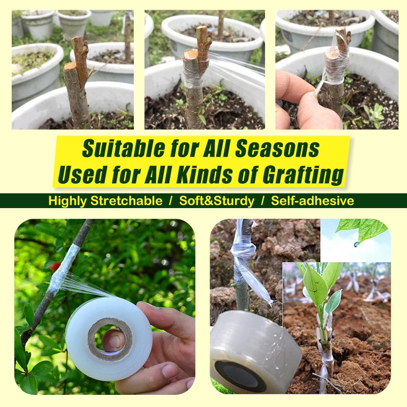Konload Nursery Grafting Tape, Buddy Tape for Fruit Trees/Plant Self-Adhesive PE Stretchable Film for Grafting and Budding -Garden Grafting Tool (3CM(1-1/5") W, 2 Roll) - Image 2