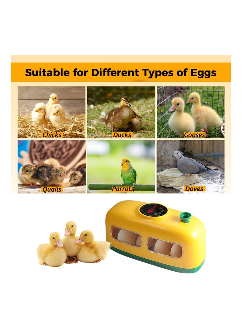 Generic 8-Egg Digital Incubator with LED Candler, Temperature & Humidity Control Display - Ideal Educational Tool for Hatching Chicken, Duck, Goose, Quail, and Bird Eggs.  - Image 5
