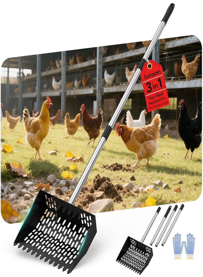 مجرفة فضلات الدجاج للرمل، مجرفة قن الدجاج 3 في 1 بوظيفة المجرفة، فتحات غربال دقيقة، مقبض من الفولاذ المقاوم للصدأ قابل للتعديل من 24 إلى 68 بوصة، مجرفة معدنية لفضلات القطط، مجرفة جانبية بدون ثقوب، مجرفة فضلات الدجاج للرمل - Image 1