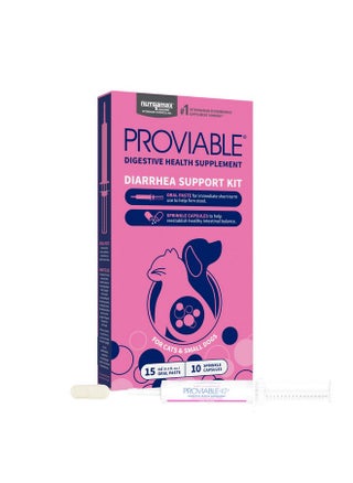 Nutramax Proviable Digestive Health Supplement Kit with Multi-Strain Probiotics and Prebiotics for Cats and Small Dogs, With 7-Strains of Bacteria, 15 mL Paste and 10 Capsules - pzsku/Z5DFCEBFF3DB732E1FF14Z/45/1749115481/18b399e0-e4ed-4408-84d5-a08382ec4cb6