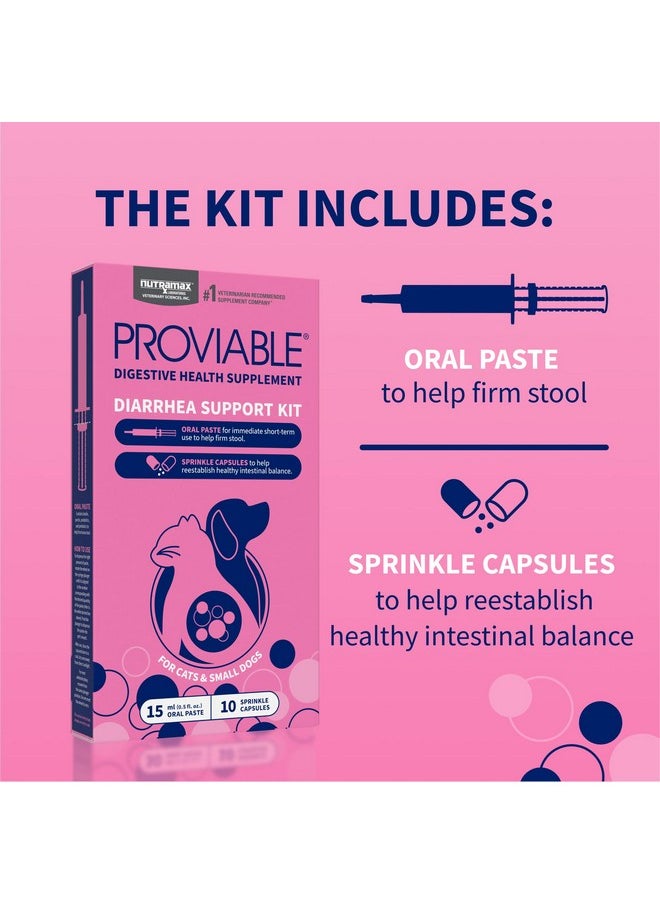 Nutramax Laboratories Nutramax Proviable Digestive Health Supplement Kit with Multi-Strain Probiotics and Prebiotics for Cats and Small Dogs, With 7-Strains of Bacteria, 15 mL Paste and 10 Capsules  - Image 4