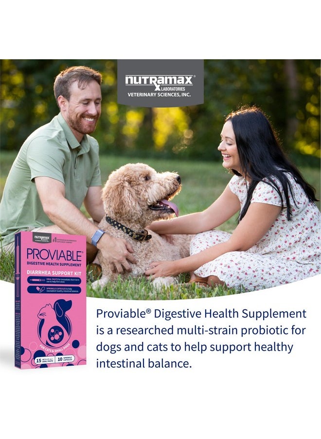 Nutramax Laboratories Nutramax Proviable Digestive Health Supplement Kit with Multi-Strain Probiotics and Prebiotics for Cats and Small Dogs, With 7-Strains of Bacteria, 15 mL Paste and 10 Capsules  - Image 3