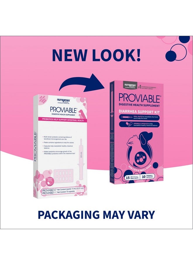 Nutramax Laboratories Nutramax Proviable Digestive Health Supplement Kit with Multi-Strain Probiotics and Prebiotics for Cats and Small Dogs, With 7-Strains of Bacteria, 15 mL Paste and 10 Capsules  - Image 2