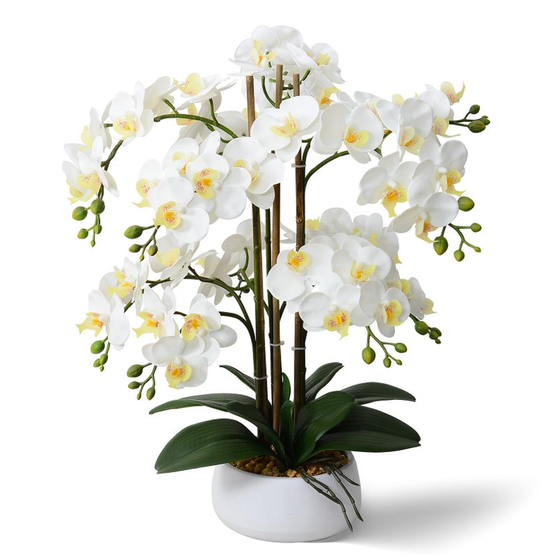 Ziwon Artificial Orchid Flowers Plants Potted in Ceramic Pot White Faux Phalaenopsis Orchids for Table Centerpiece Realistic Fake Flower Arrangement for Home Office Decor Indoor - Image 2