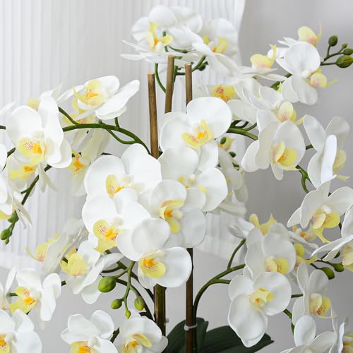 Ziwon Artificial Orchid Flowers Plants Potted in Ceramic Pot White Faux Phalaenopsis Orchids for Table Centerpiece Realistic Fake Flower Arrangement for Home Office Decor Indoor - Image 3