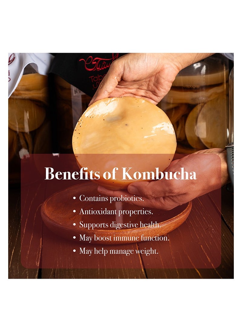 Tabchilli - Tabchilli Deluxe Kombucha Starter Kit, Includes Organic SCOBY with 250ml Starter Liquid, 2L Glass Jar, Organic Sugar Blend, Tea Blend, PH Strips, Temperature Strip, Cotton Cloth, and Recipe Card, High-Quality Deluxe Kombucha SCOBY Starter Kit - Image 1