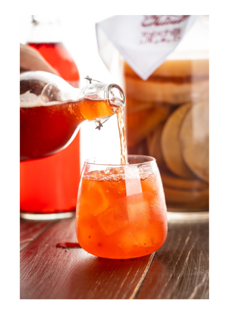 Tabchilli - Tabchilli Deluxe Kombucha Starter Kit, Includes Organic SCOBY with 250ml Starter Liquid, 2L Glass Jar, Organic Sugar Blend, Tea Blend, PH Strips, Temperature Strip, Cotton Cloth, and Recipe Card, High-Quality Deluxe Kombucha SCOBY Starter Kit - Image 1