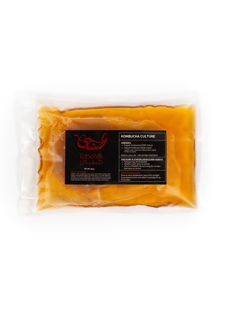 Tabchilli - Tabchilli Deluxe Kombucha Starter Kit, Includes Organic SCOBY with 250ml Starter Liquid, 2L Glass Jar, Organic Sugar Blend, Tea Blend, PH Strips, Temperature Strip, Cotton Cloth, and Recipe Card, High-Quality Deluxe Kombucha SCOBY Starter Kit - Image 1