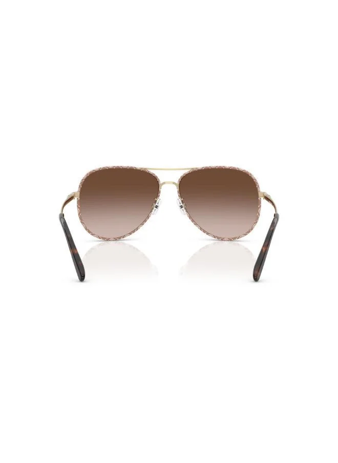 Tory Burch Sunglasses  Gradient Lens