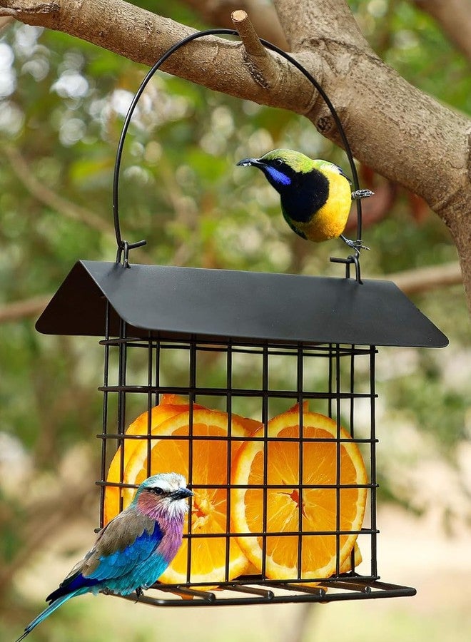 Mcage Durable Roof Top Bird Parrot Suet Reusable Feeder for Outside Garden Yard Patio Hanging Metal Suet Cake Holder Squirrel Proof Weatherproof for Wild Hummingbird Woodpecker Single Suet Cage - Image 2