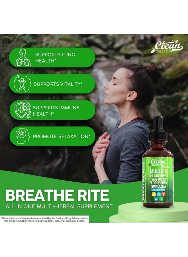 كلين نيوتراسيوتيكالز قطرات سائلة عضوية من نبات المولين مع الكلوروفيل لتنقية الرئتين بالإضافة إلى طحالب البحر الأيرلندية، سبيرولينا، عرق السوس، الكرز الحامض، اللوبيليا، نبتة الأم، وبلسان العجوز لمكمل غذائي صحي للرجال والنساء فيتامين (60 مل) - Image 2